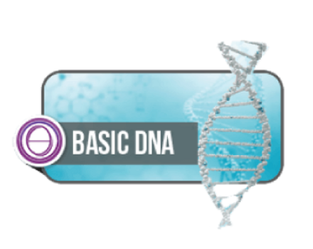 Theta Healing® DNA Base