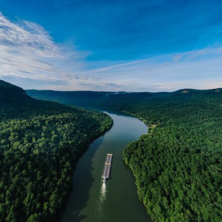 aerial photography of a boat on a waterway in the middle of forest
