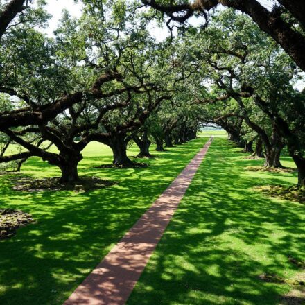 Uscire dal tunnel della crisi